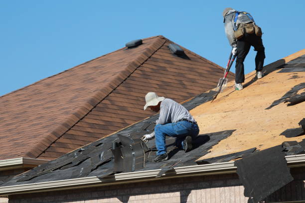 Best Roof Insulation Installation  in Salem, IL